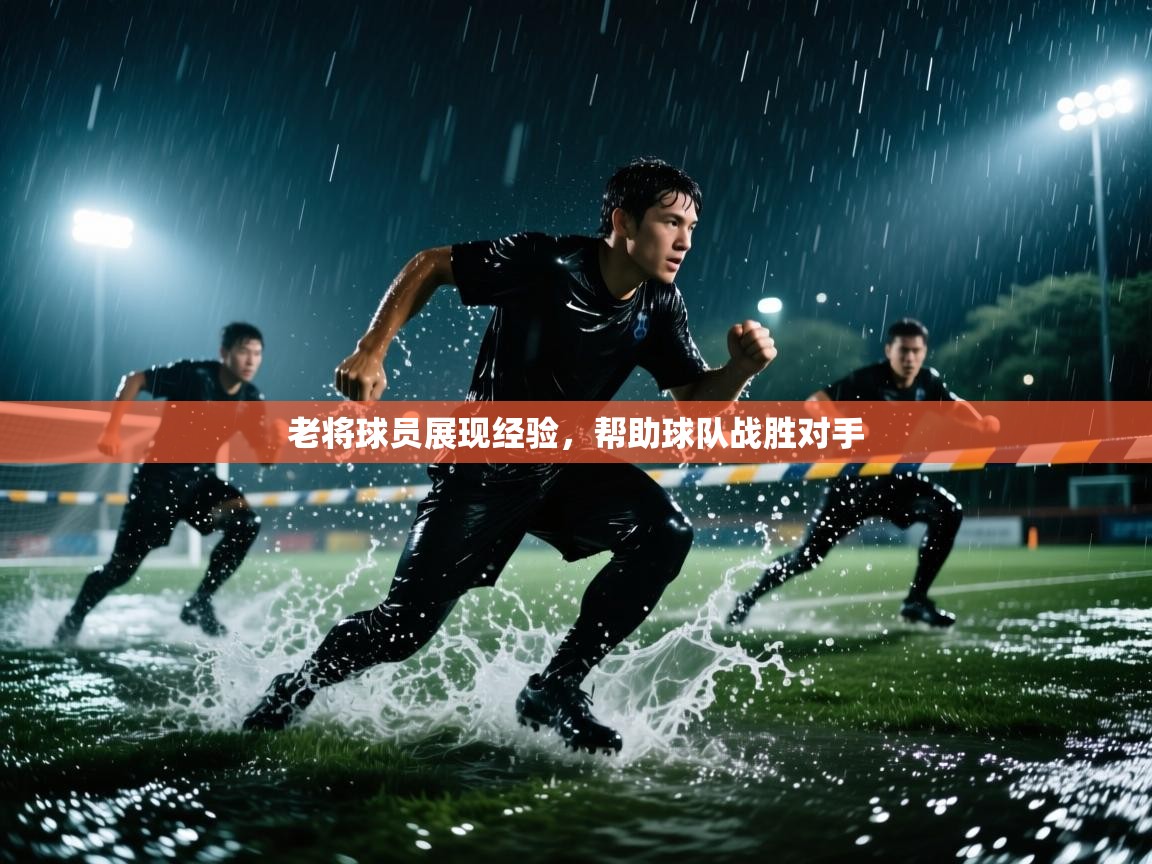老将球员展现经验，帮助球队战胜对手