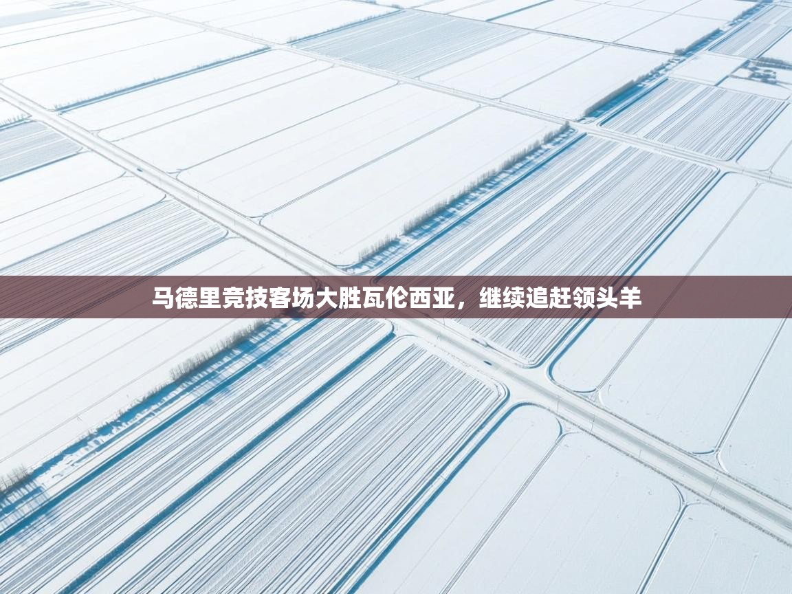 马德里竞技客场大胜瓦伦西亚,继续追赶领头羊 第1张