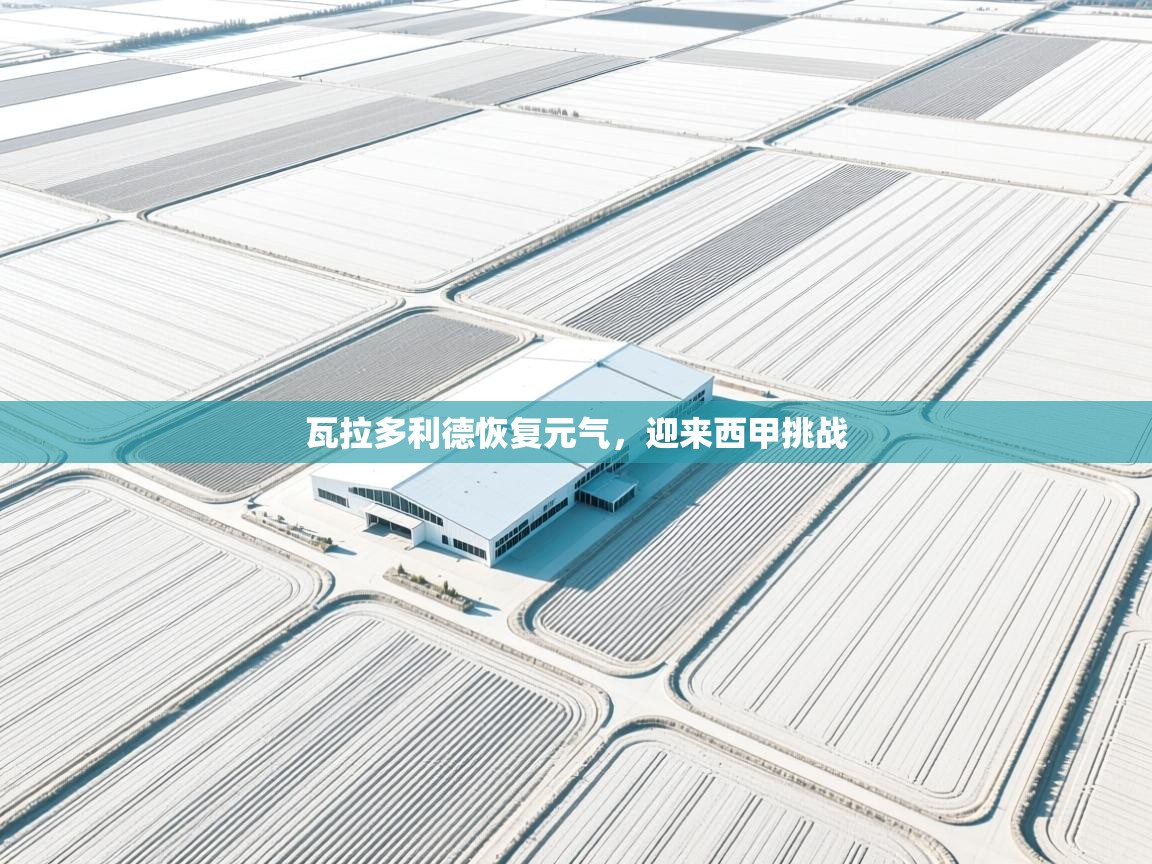 瓦拉多利德恢复元气，迎来西甲挑战