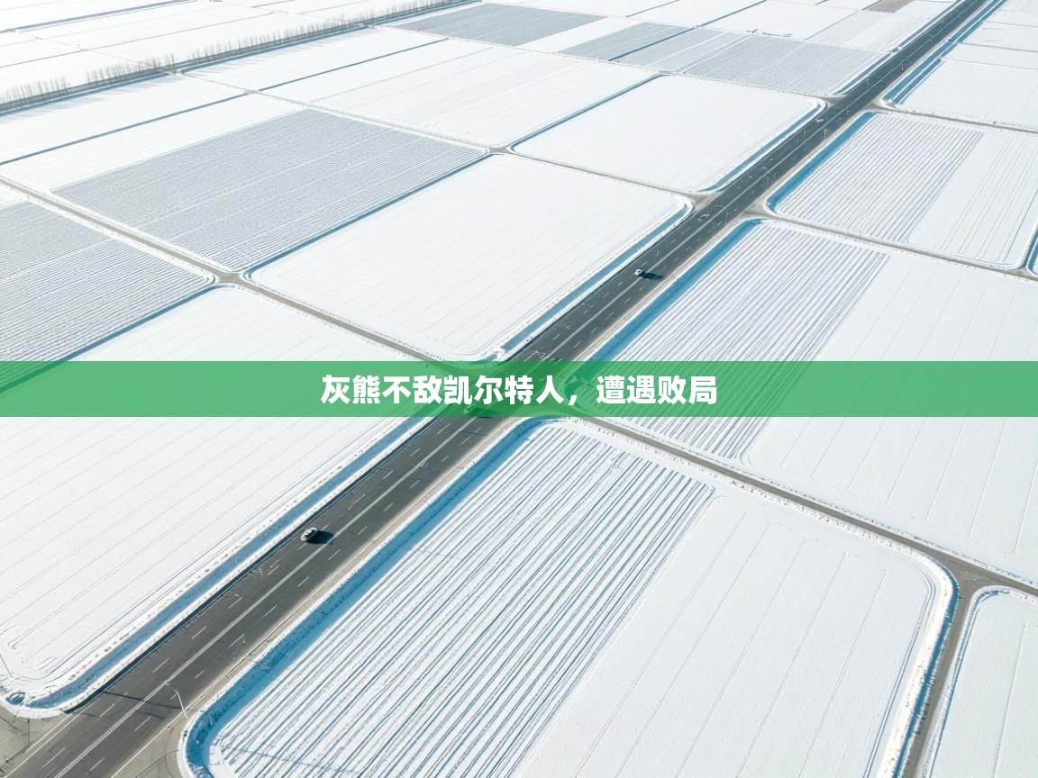 灰熊不敌凯尔特人，遭遇败局