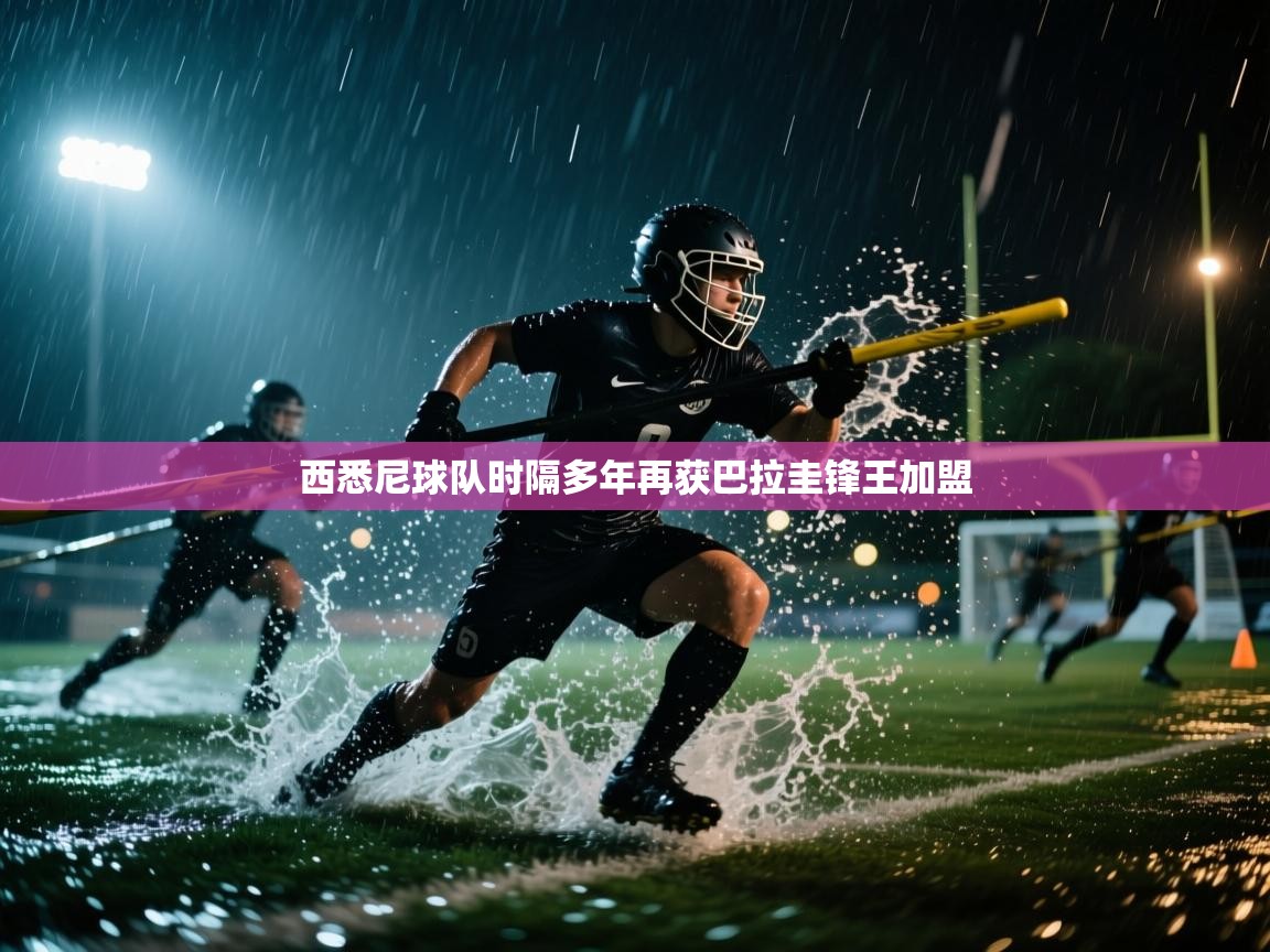 西悉尼球队时隔多年再获巴拉圭锋王加盟  第1张